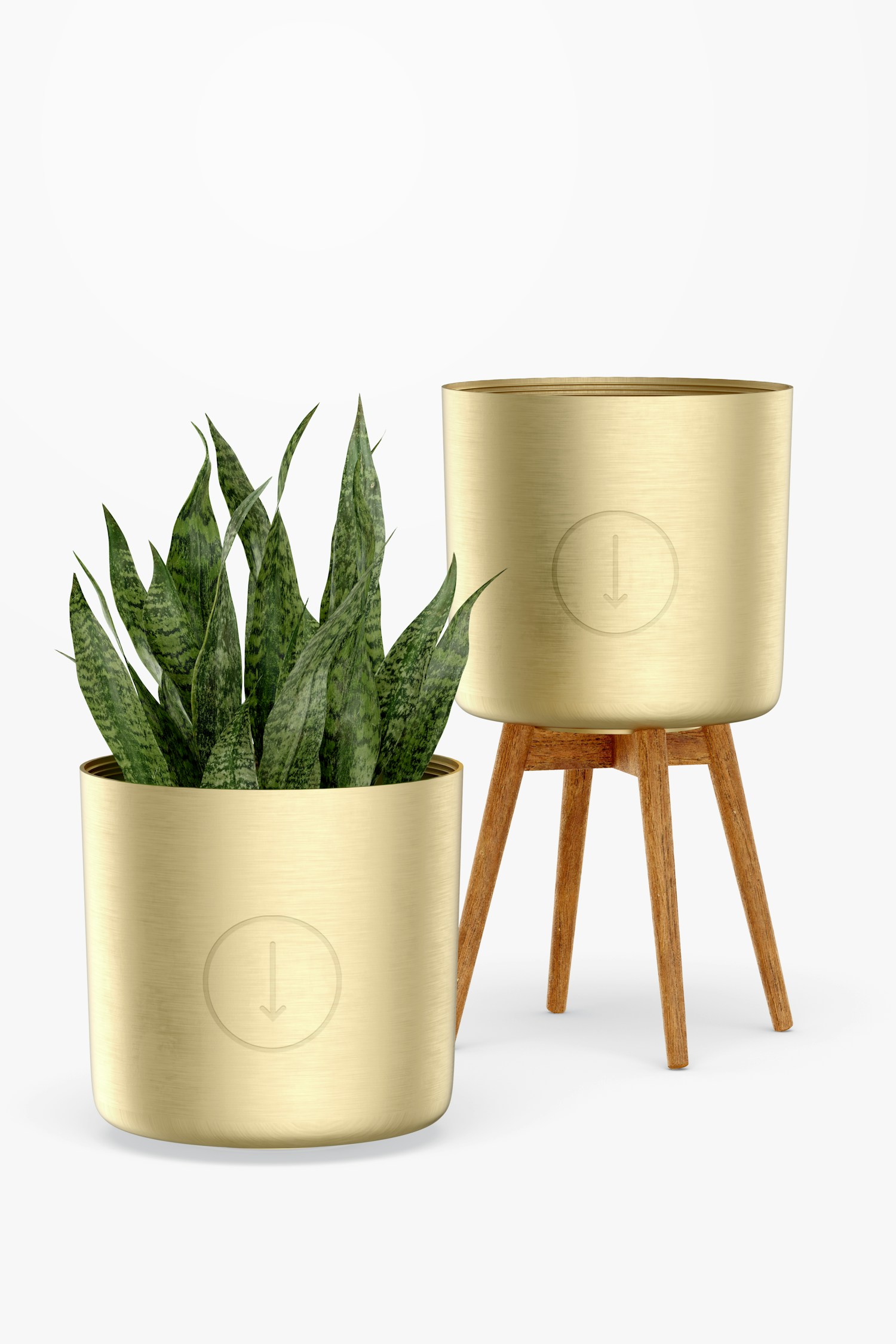 Brass Planters with Stand Mockup