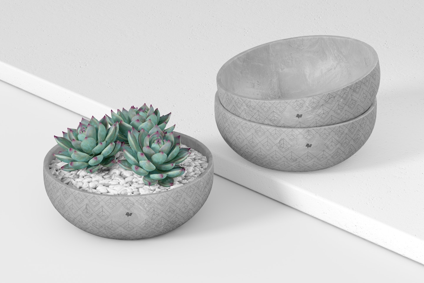 Flat Round Cement Pots Mockup, Perspective