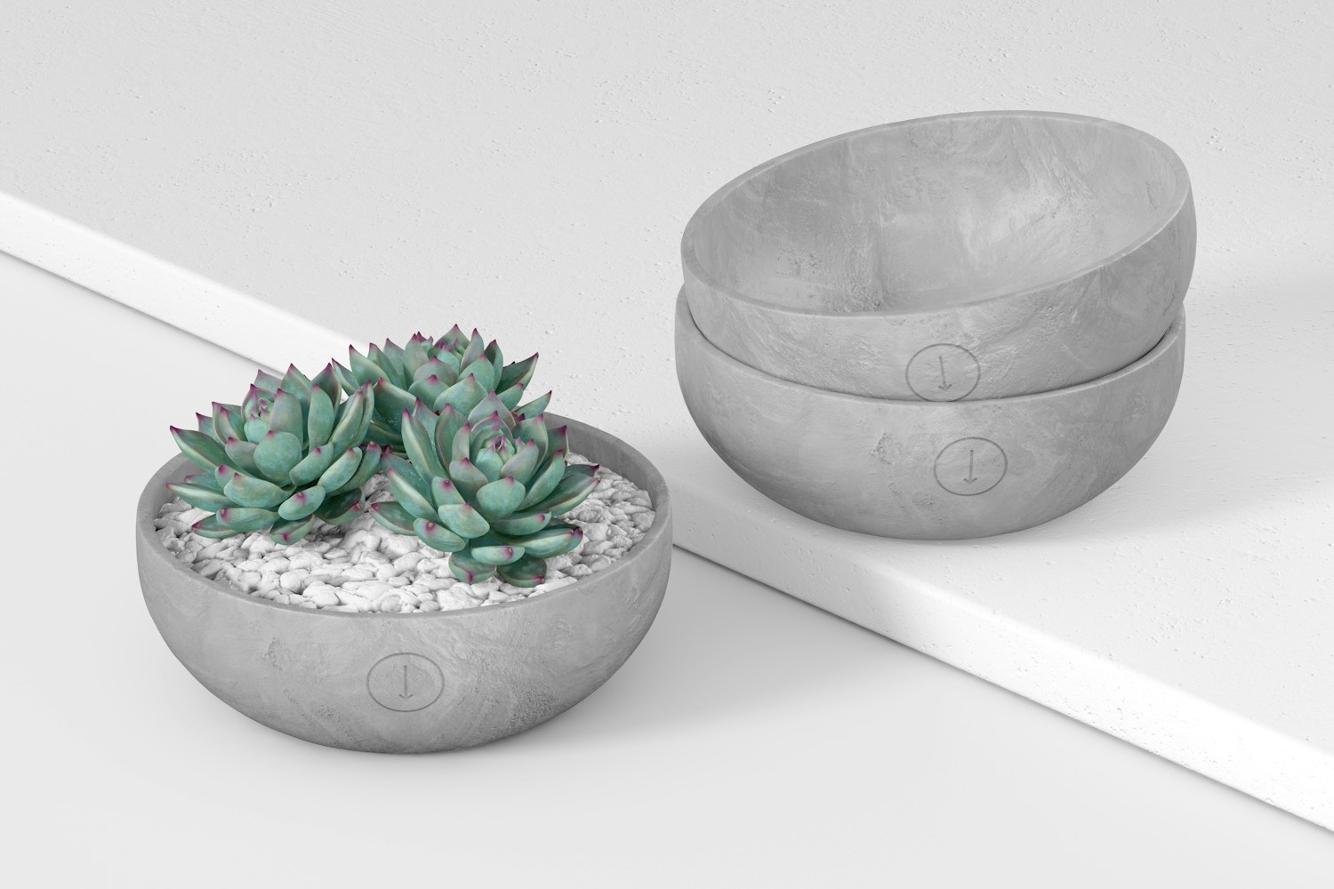 Flat Round Cement Pots Mockup, Perspective
