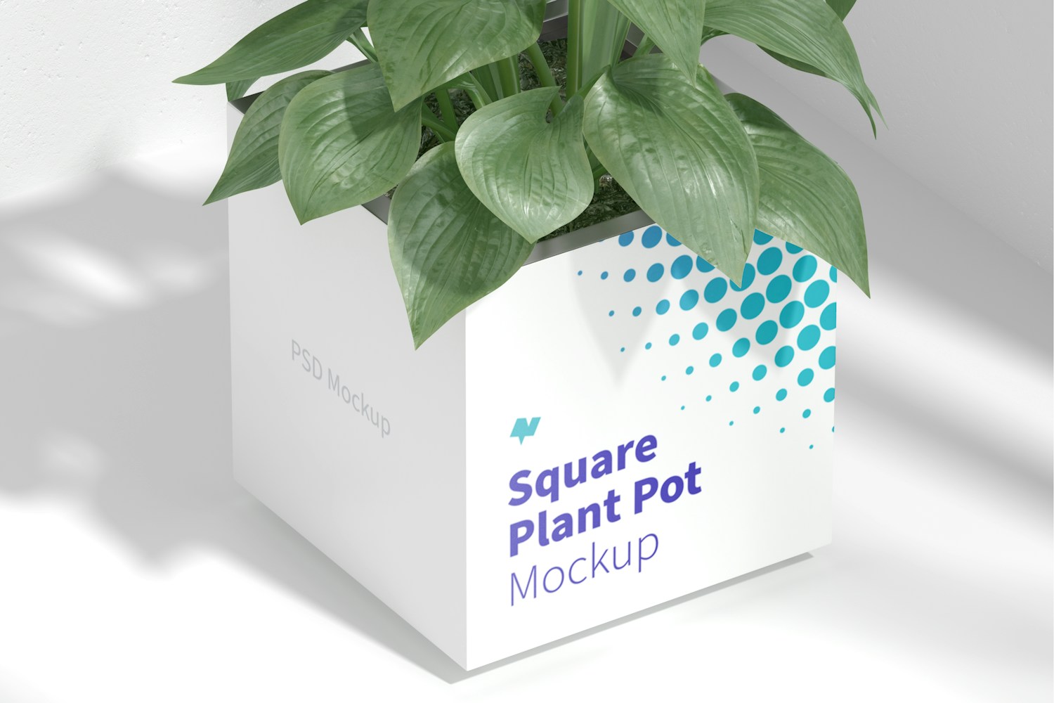 Steel Square Plant Pot Mockup, Top View Steel Square Plant Pot Mockup, Top View