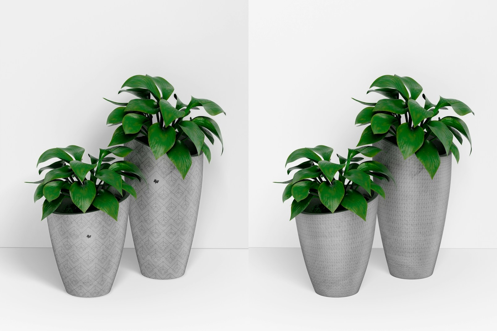 Round Tall Cement Pots with Plants Mockup