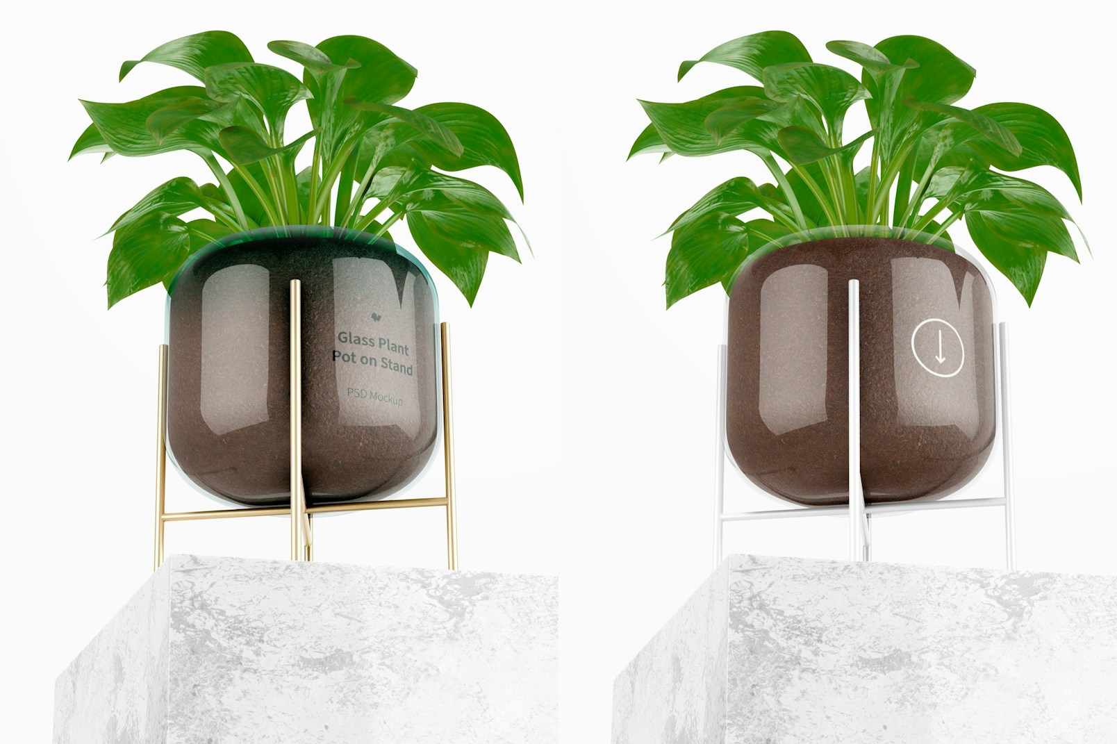 Glass Plant Pot on Stand Mockup, Low Angle View