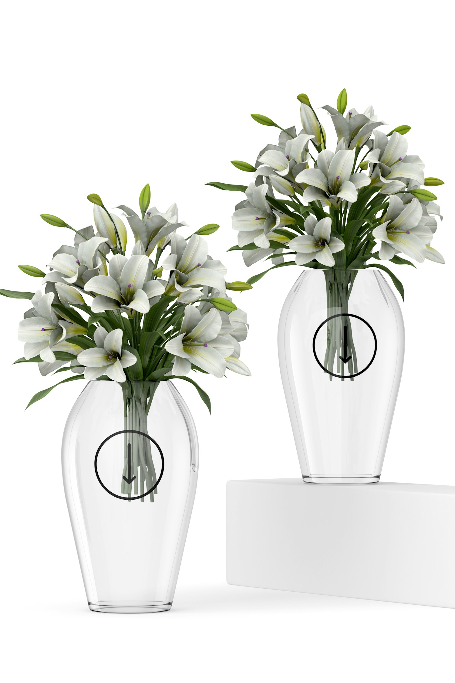 Glass Vases Mockup Glass Vases Mockup