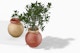 Round Terracotta Vases Mockup