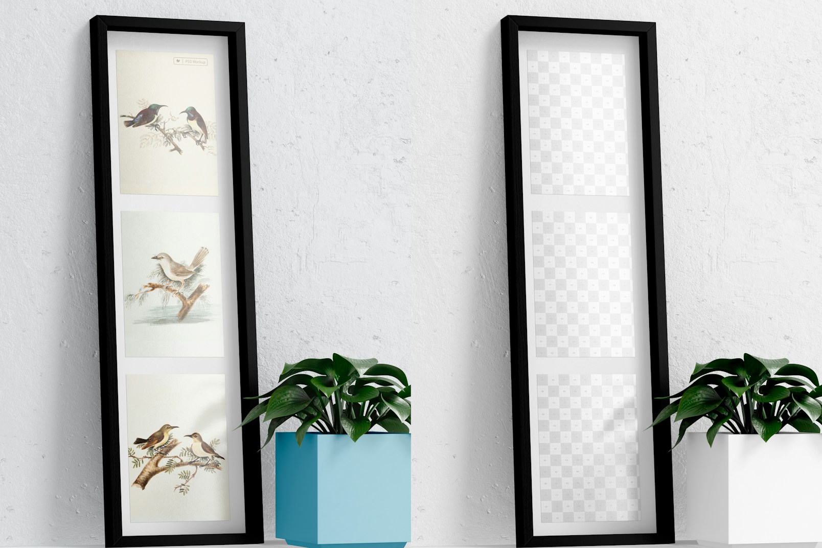 4:3 Multiple Photo Frame Mockup, with Plant