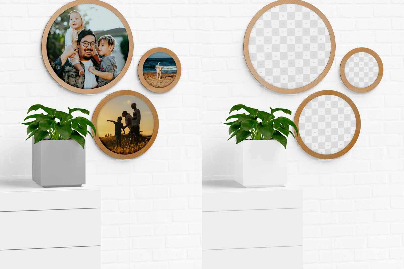 Round Wall Photo Frame with Plant Mockup