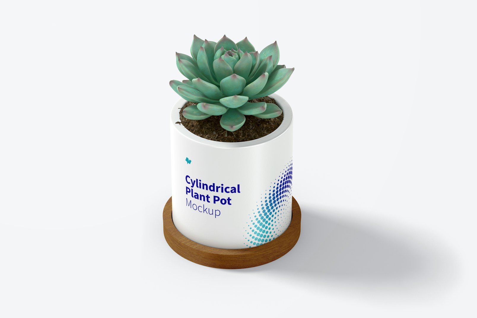 Ceramic Cylindrical Plant Pot Mockup