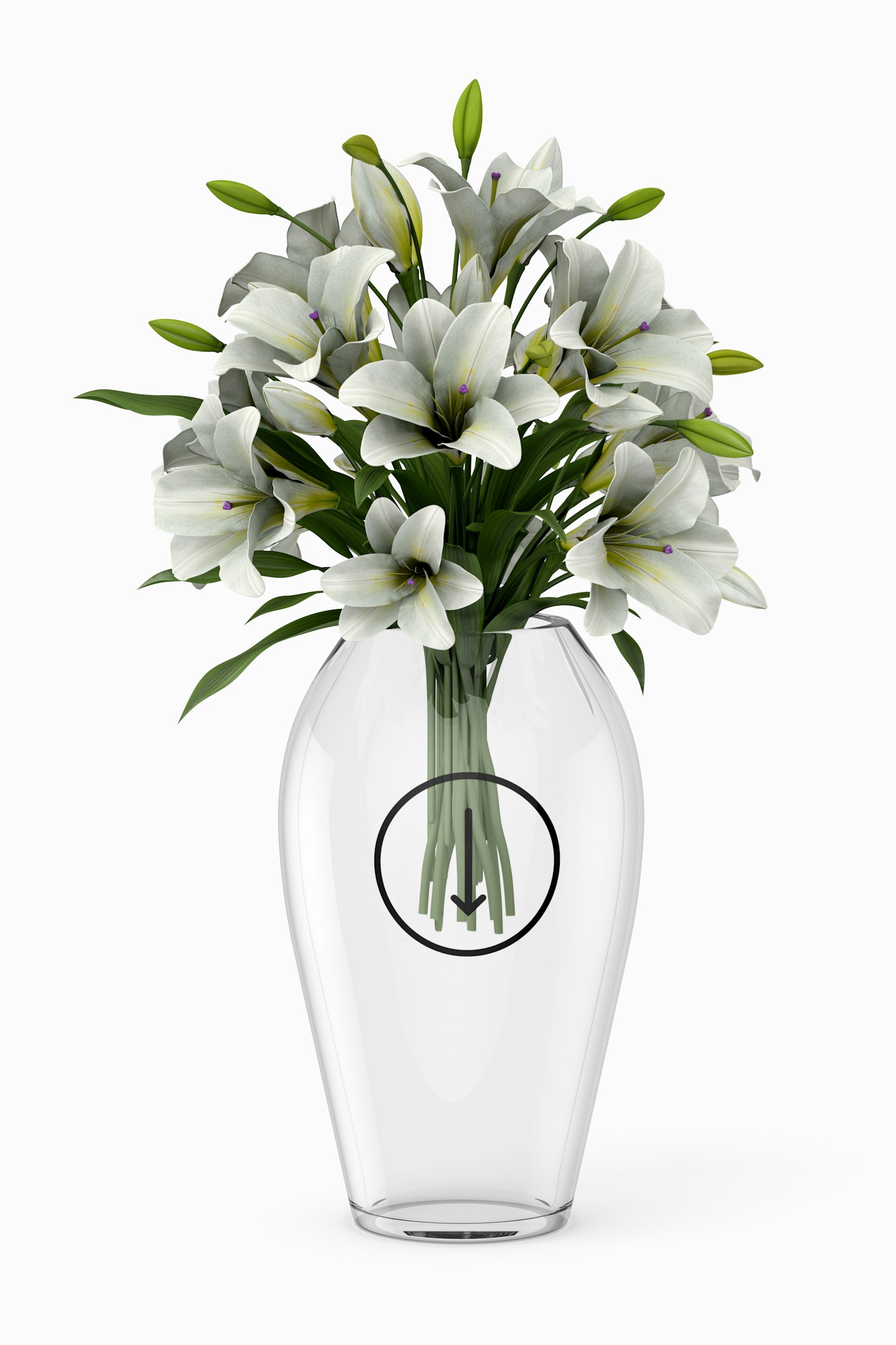 Glass Vase Mockup Glass Vase Mockup