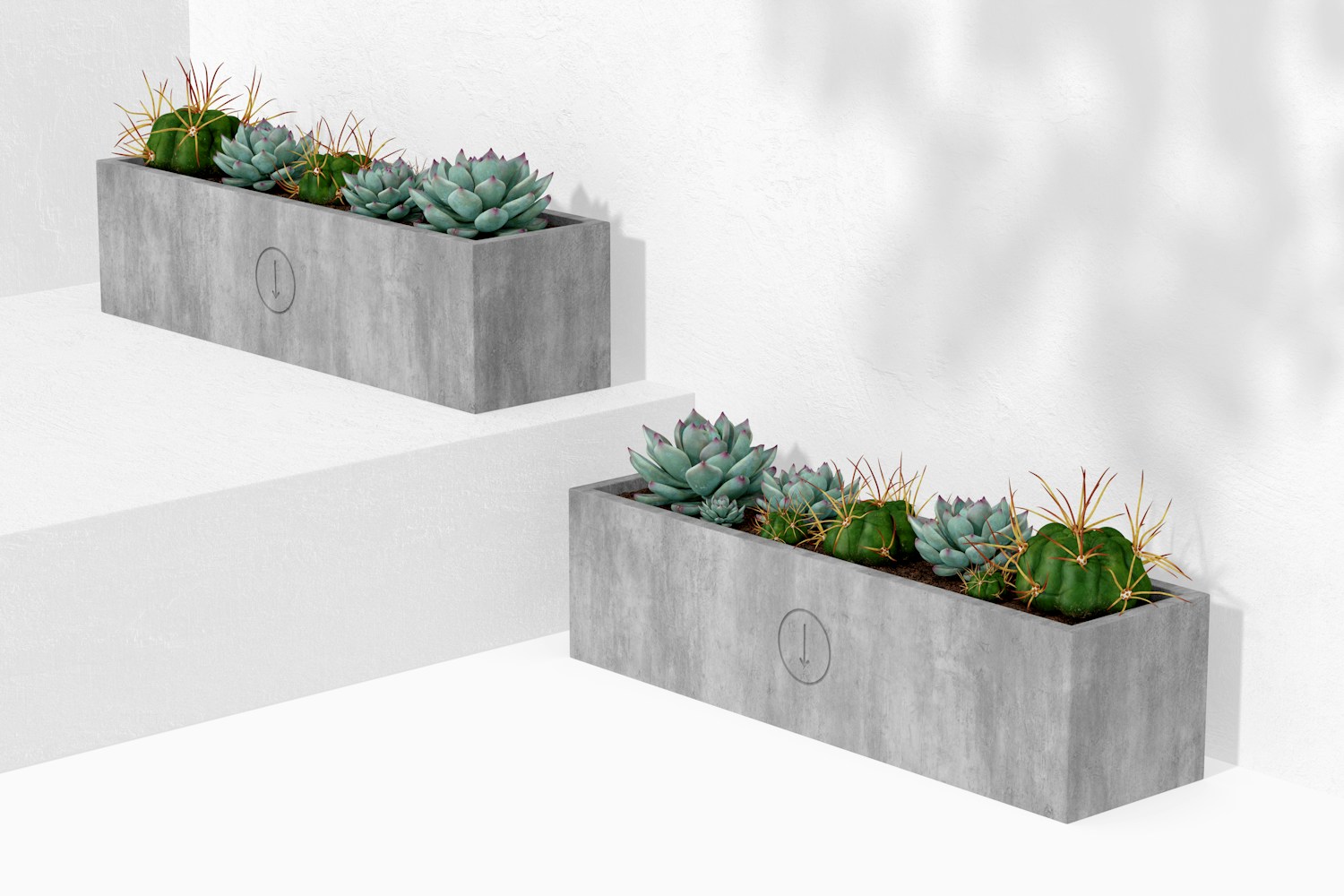 Rectangular Table Cement Planters Mockup, Perspective Rectangular Table Cement Planters Mockup, Perspective