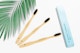 Maqueta de Cepillos de Dientes de Bambú con Caja