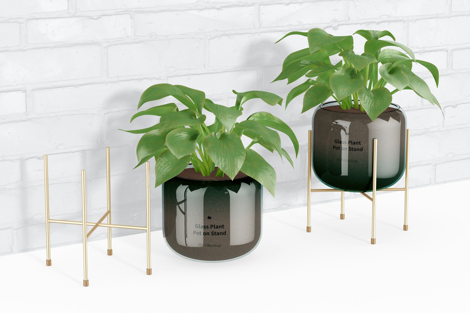 Glass Plant Pots on Stand Mockup, Perspective