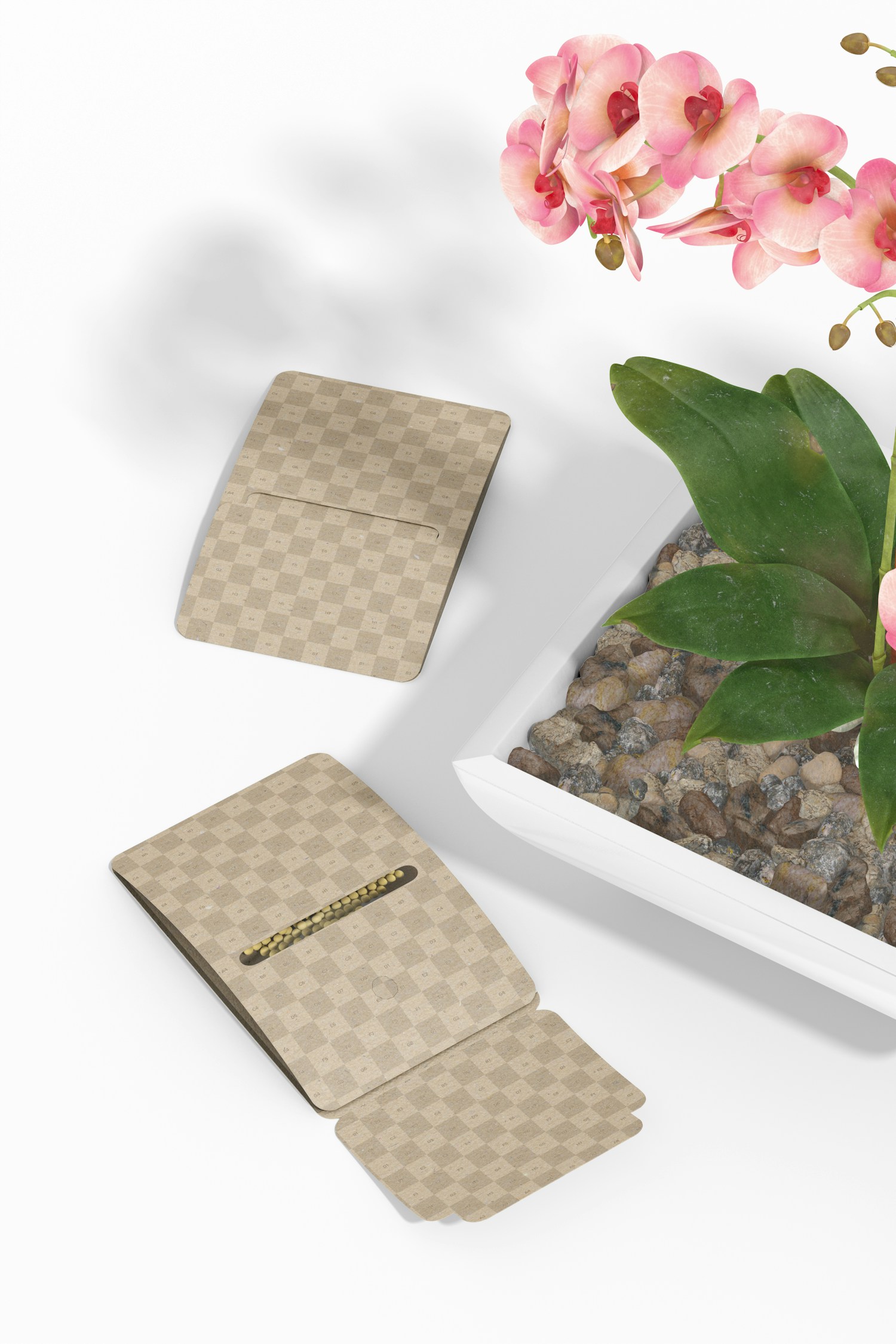 Kraft Envelopes for Seeds Mockup, Opened and Closed
