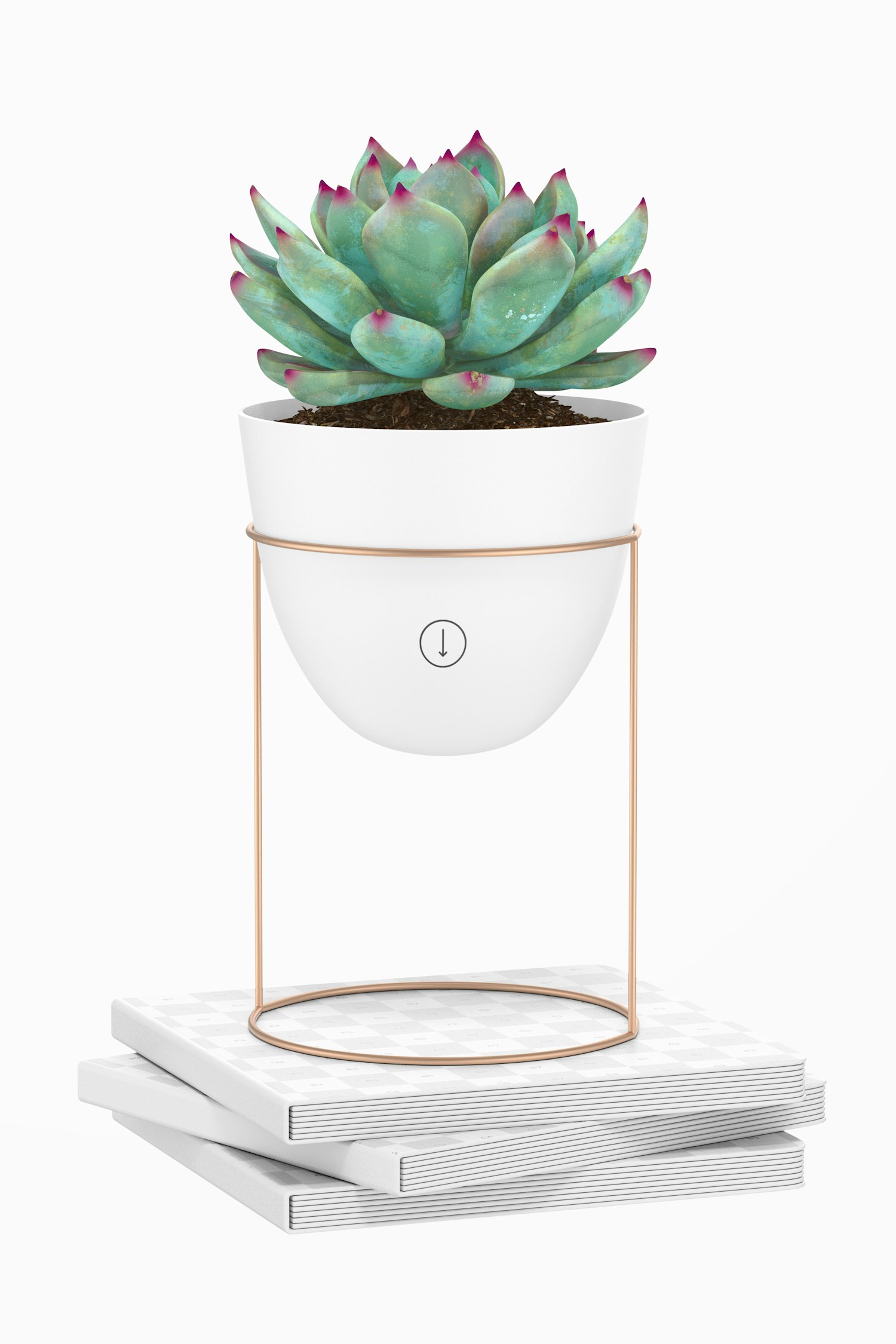 Oval Plant Pots with Stand Mockup