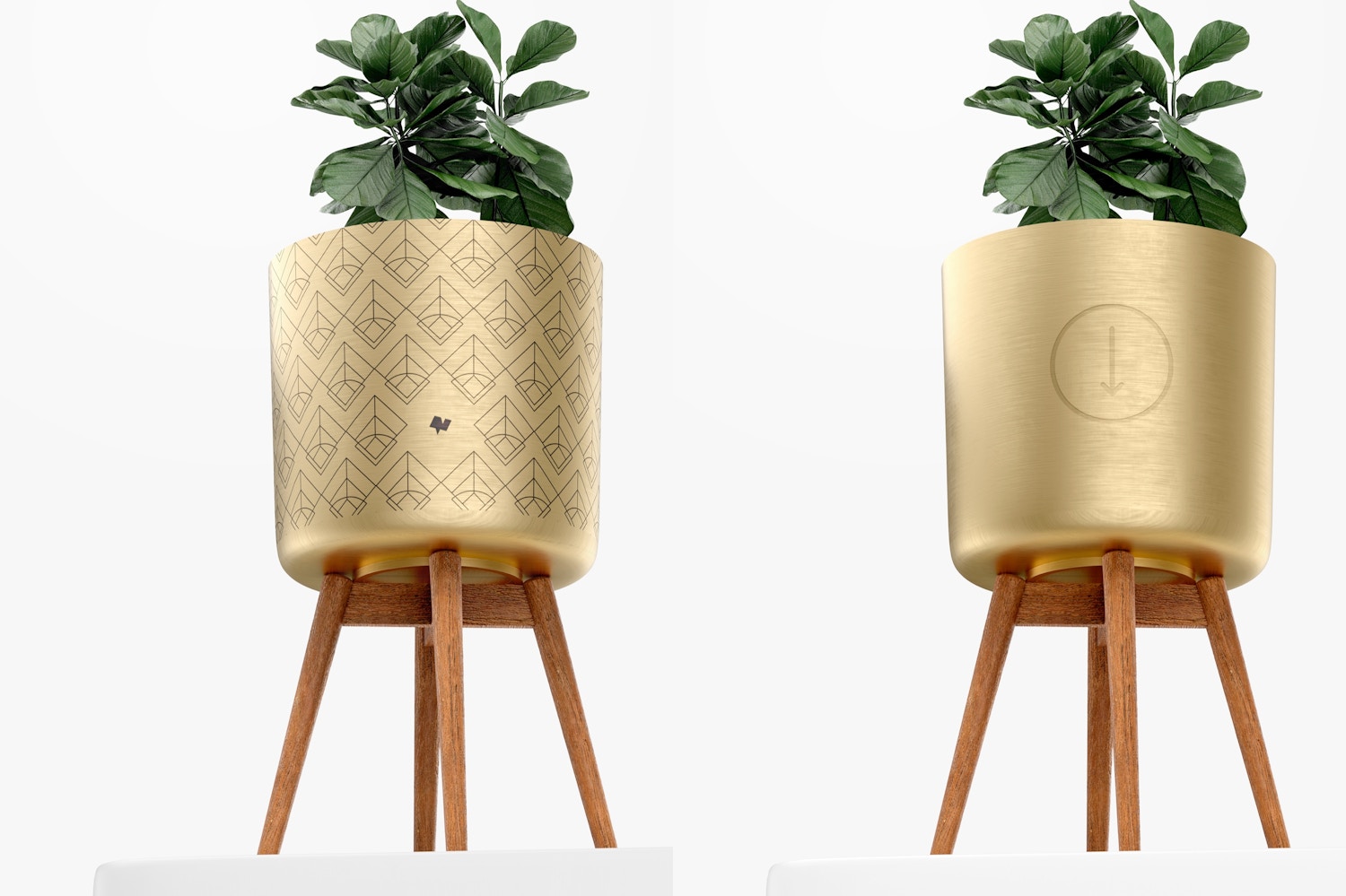 Brass Planter with Stand Mockup, Low Angle View