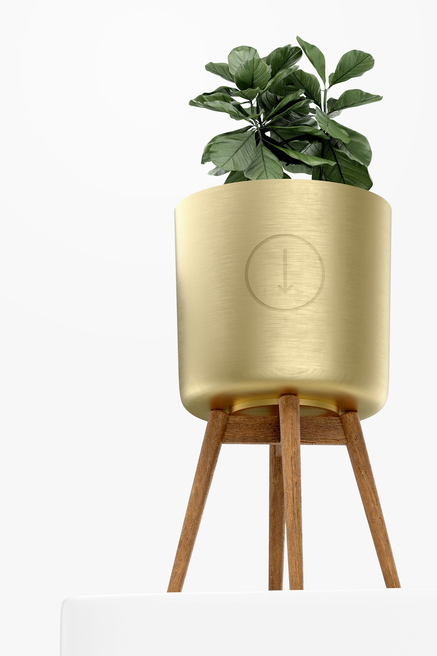 Brass Planter with Stand Mockup, Low Angle View