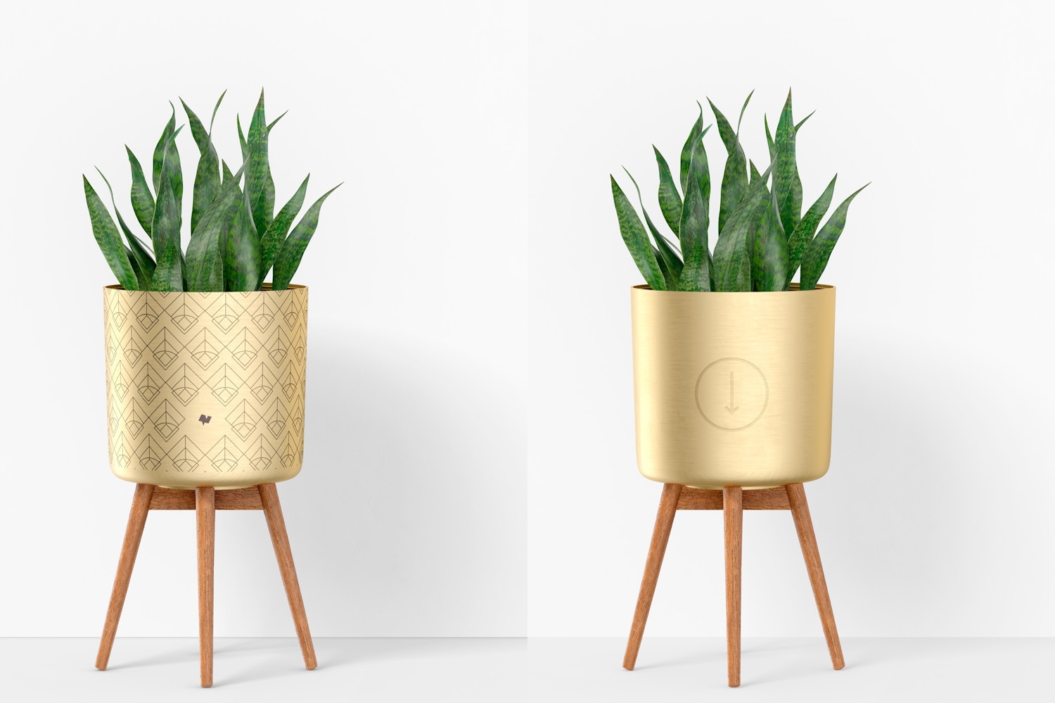 Brass Planter with Stand Mockup, Front View Brass Planter with Stand Mockup, Front View