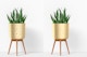 Brass Planter with Stand Mockup, Front View