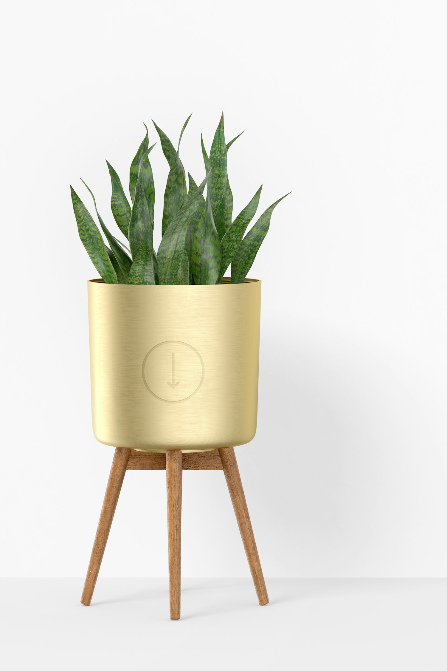 Brass Planter with Stand Mockup, Front View Brass Planter with Stand Mockup, Front View