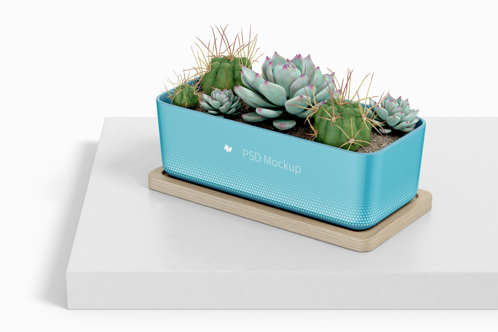Rectangular Pot with Bamboo Tray on a Surface Mockup