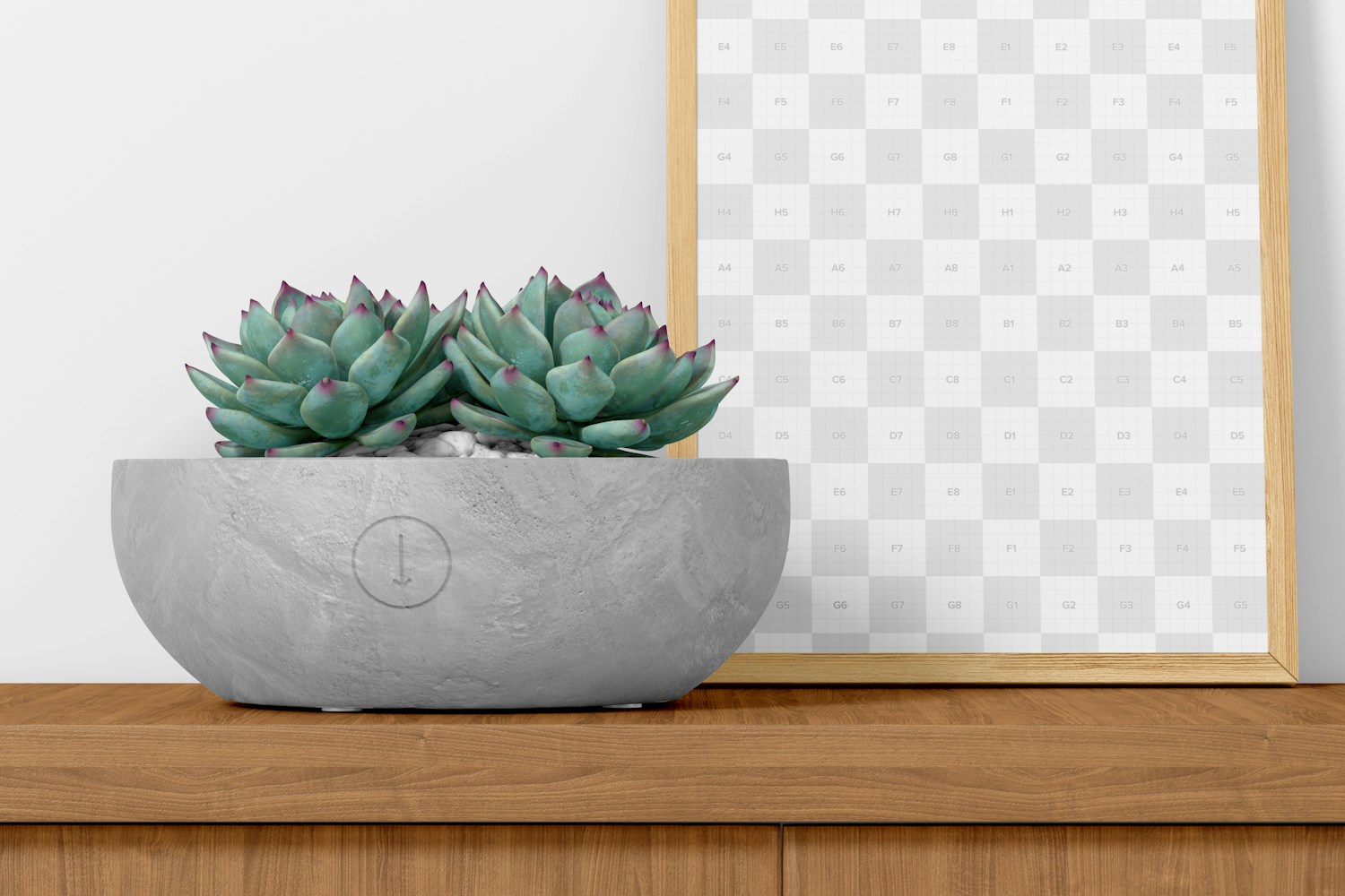 Flat Round Cement Pot with Frame Mockup