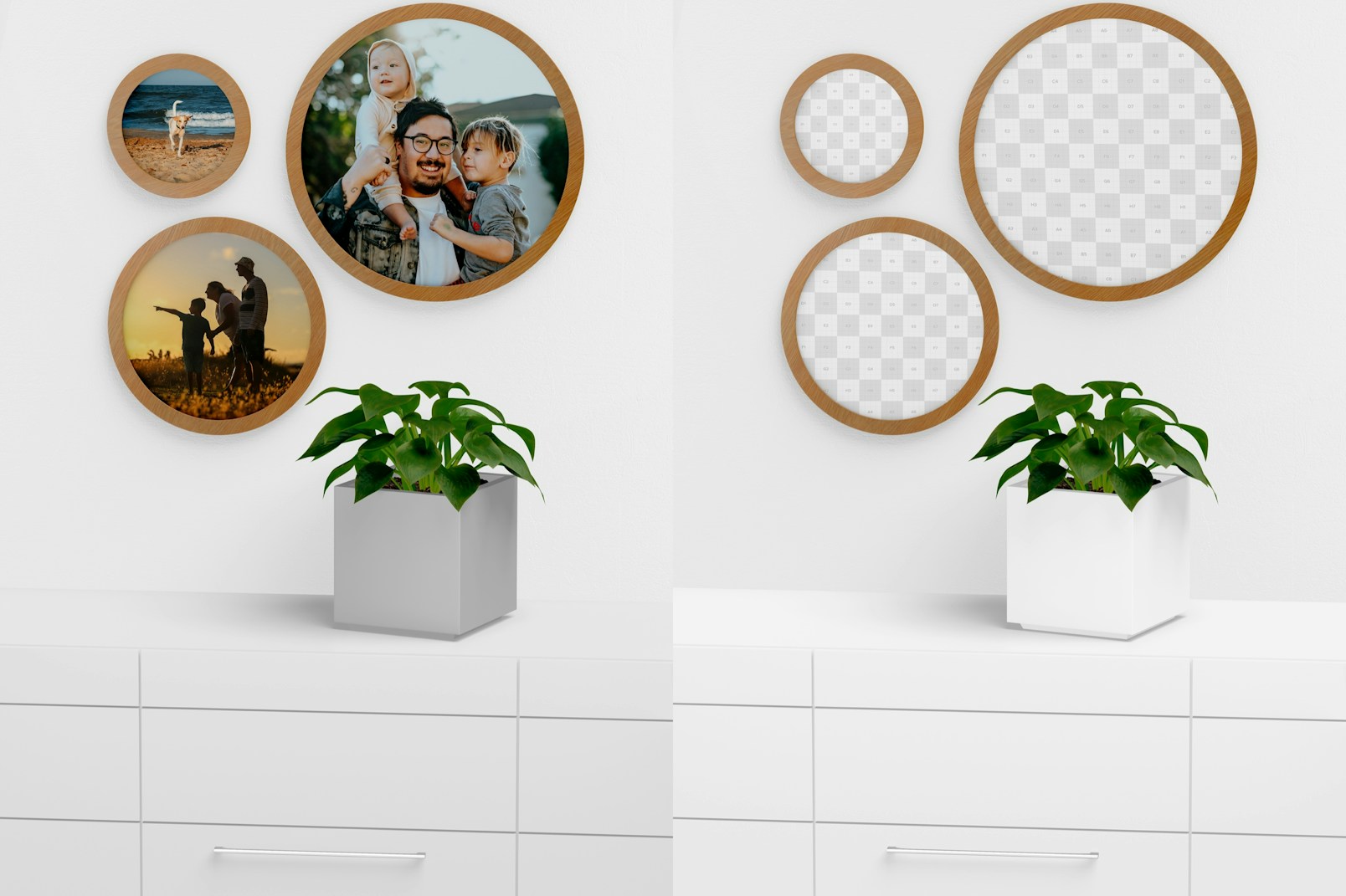 Round Wall Photo Frame with Square Pot Mockup