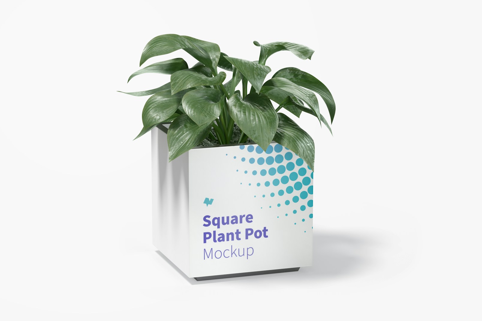 Steel Square Plant Pot Mockup