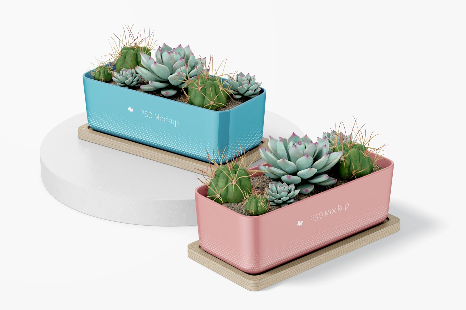 Rectangular Pots with Bamboo Tray Mockup, Perspective