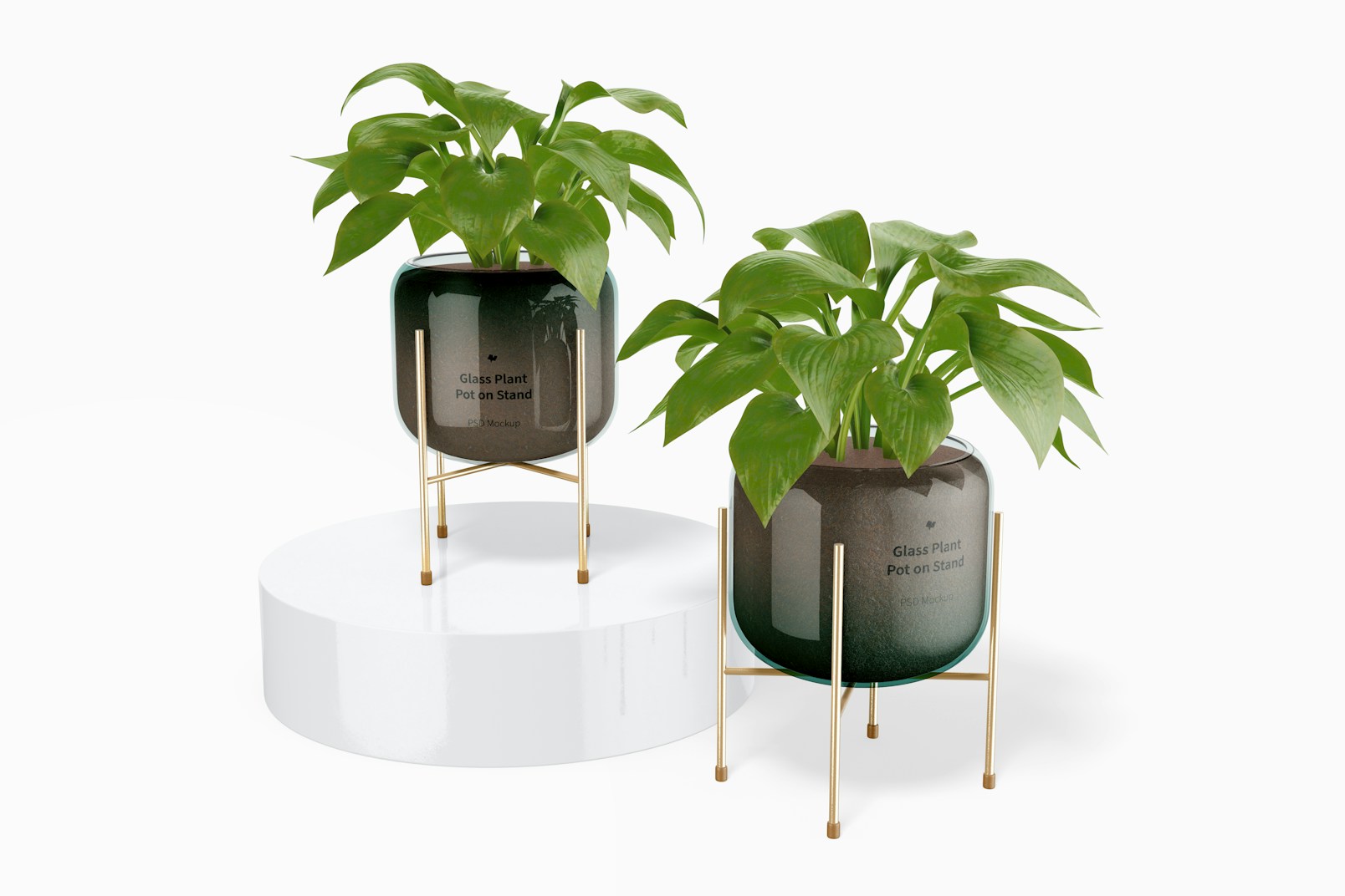 Glass Plant Pots on Stand Mockup, Front View