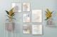 Gallery Frames with Plants Mockup