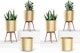Brass Planters with Stand Set Mockup