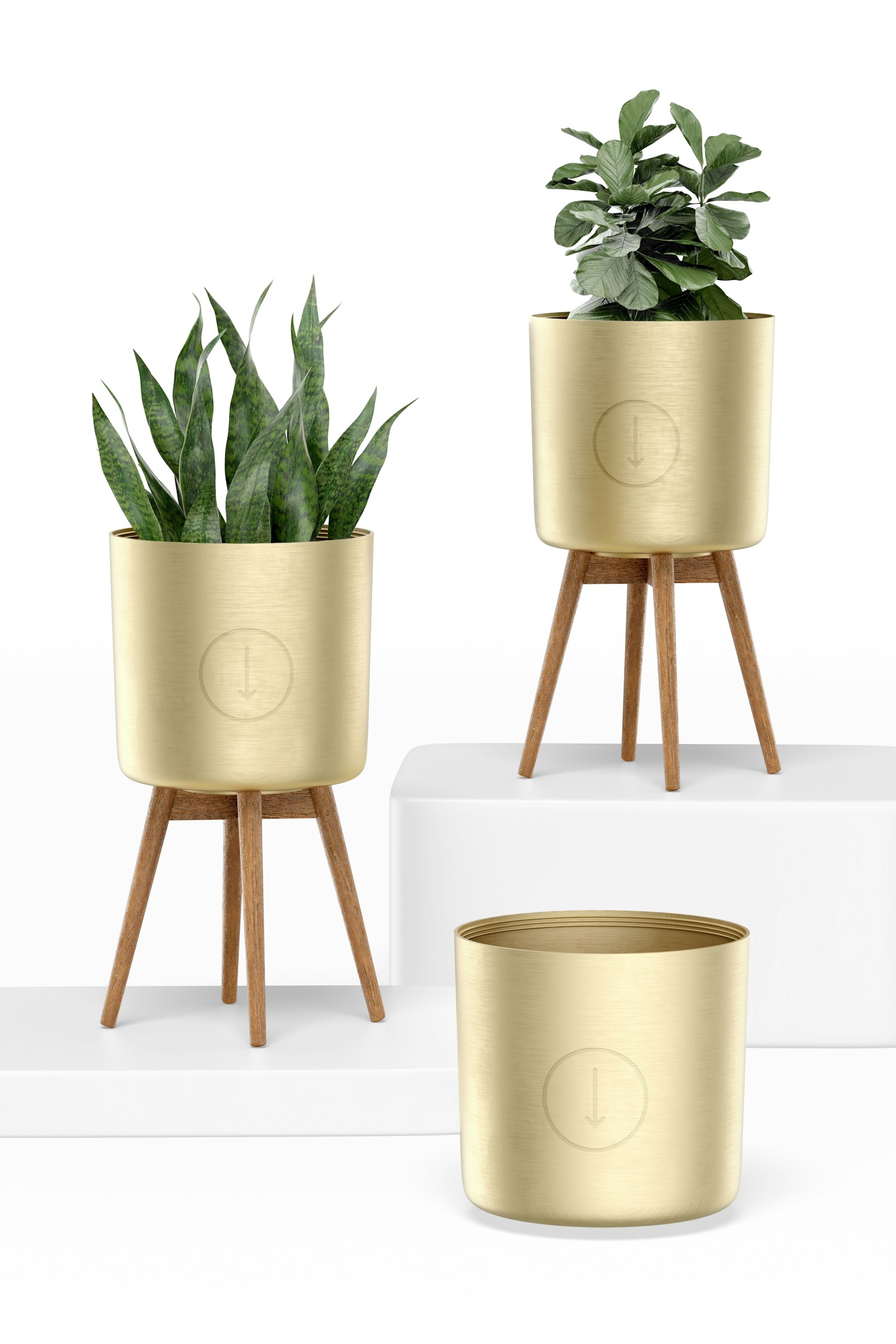 Brass Planters with Stand Set Mockup