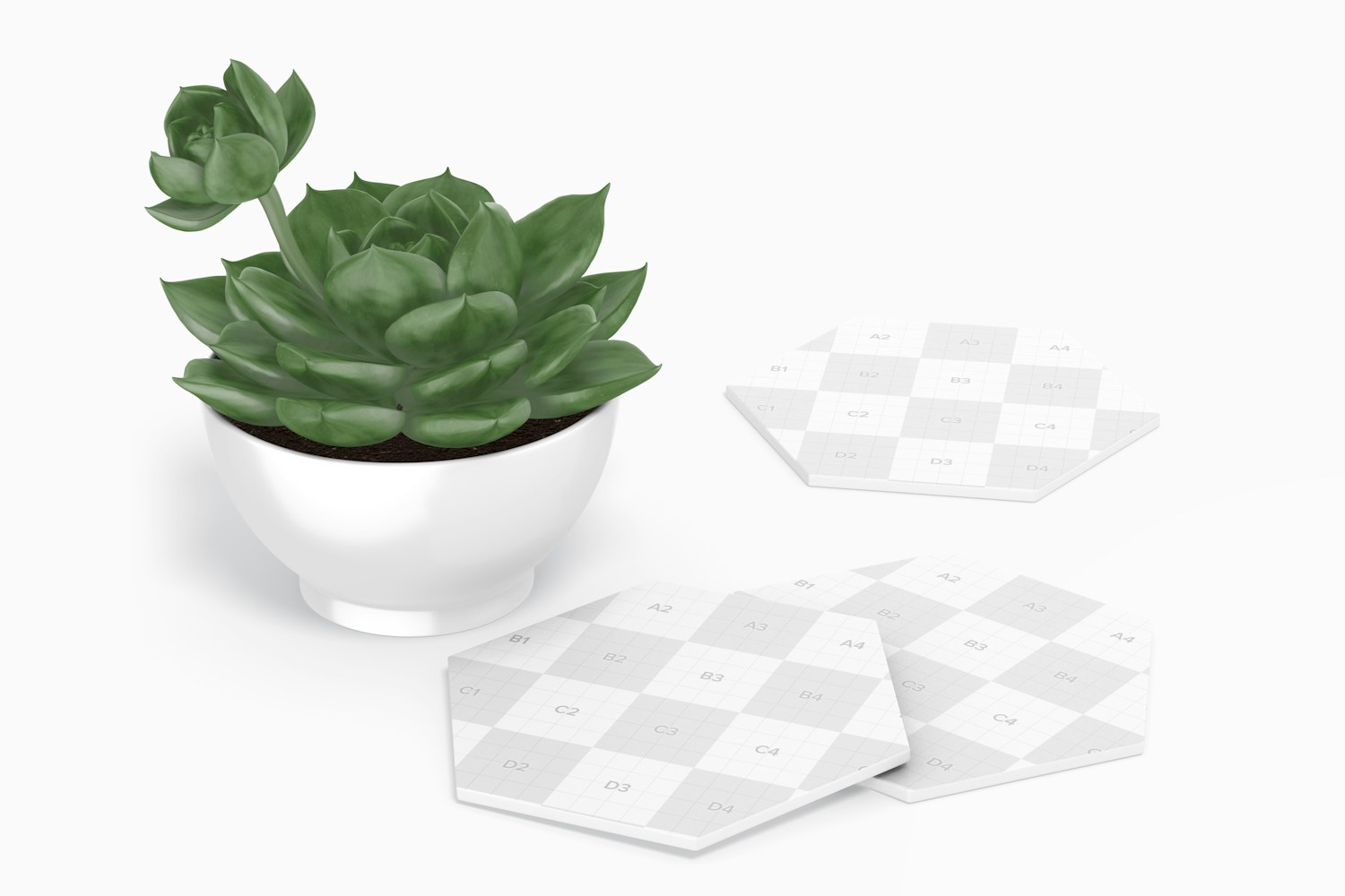 Hexagonal Kraft Coasters with Plant Mockup