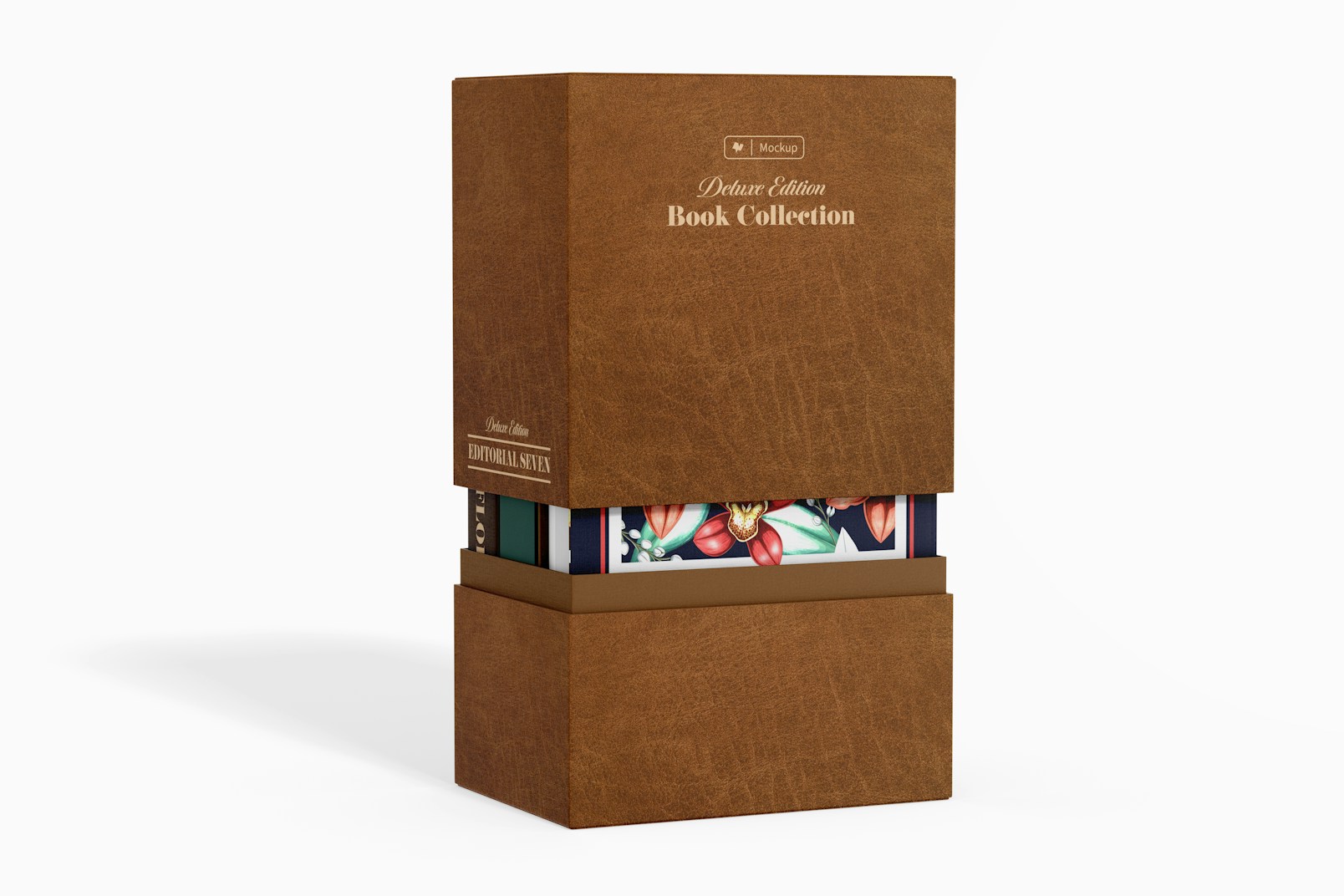 Book Collection Mockup, Opened