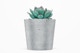 Cement Pot Mockup, Front View