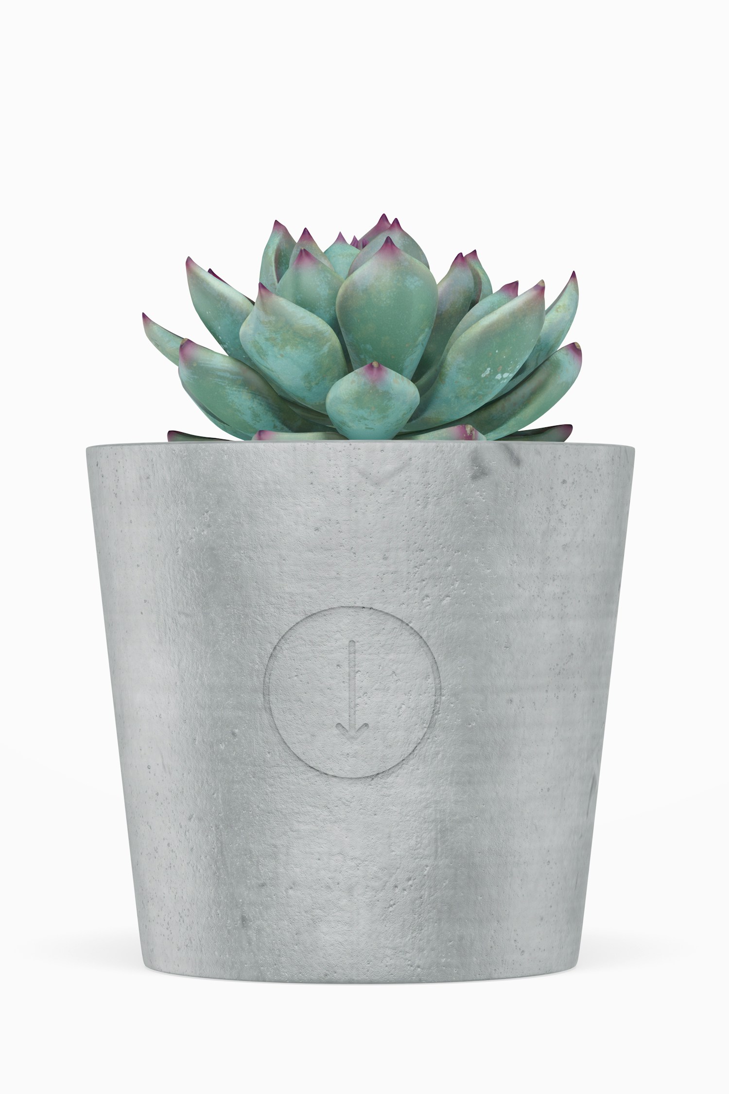 Cement Pot Mockup, Front View