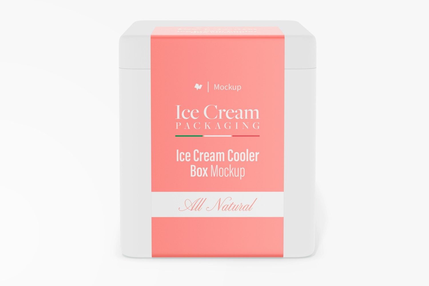 Ice Cream Cooler Box Mockup, Front View