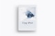 Clay iPad 9.7 Mockup 03