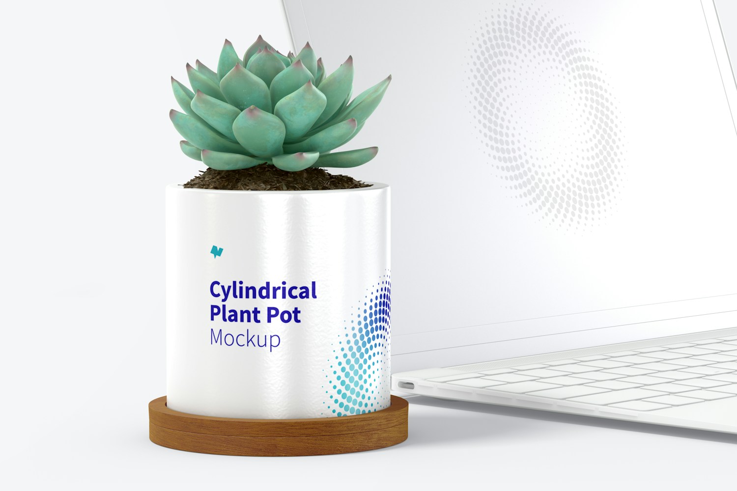 Ceramic Cylindrical Plant Pot and Laptop Mockup