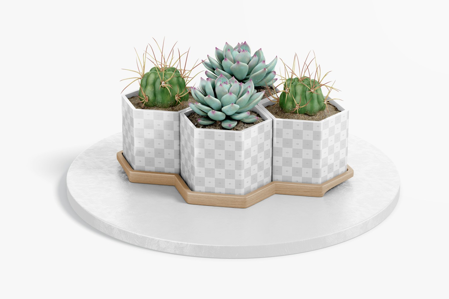 Hexagonal Pots with Bamboo Tray Mockup