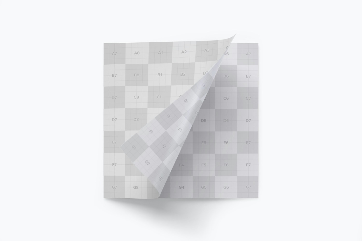 Square Tri-Fold Brochure Mockup 03