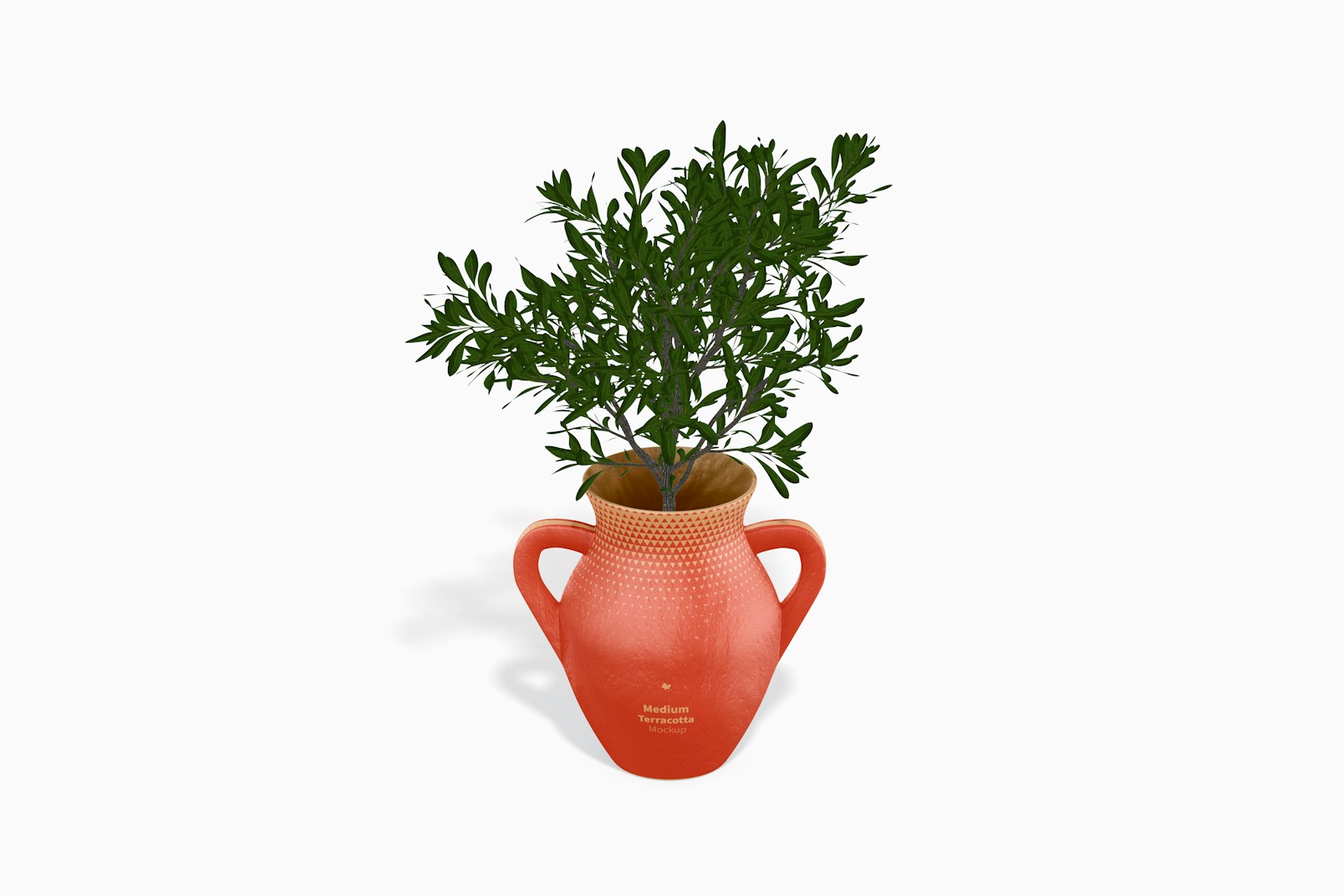 Medium Terracotta Vase with Handles Mockup