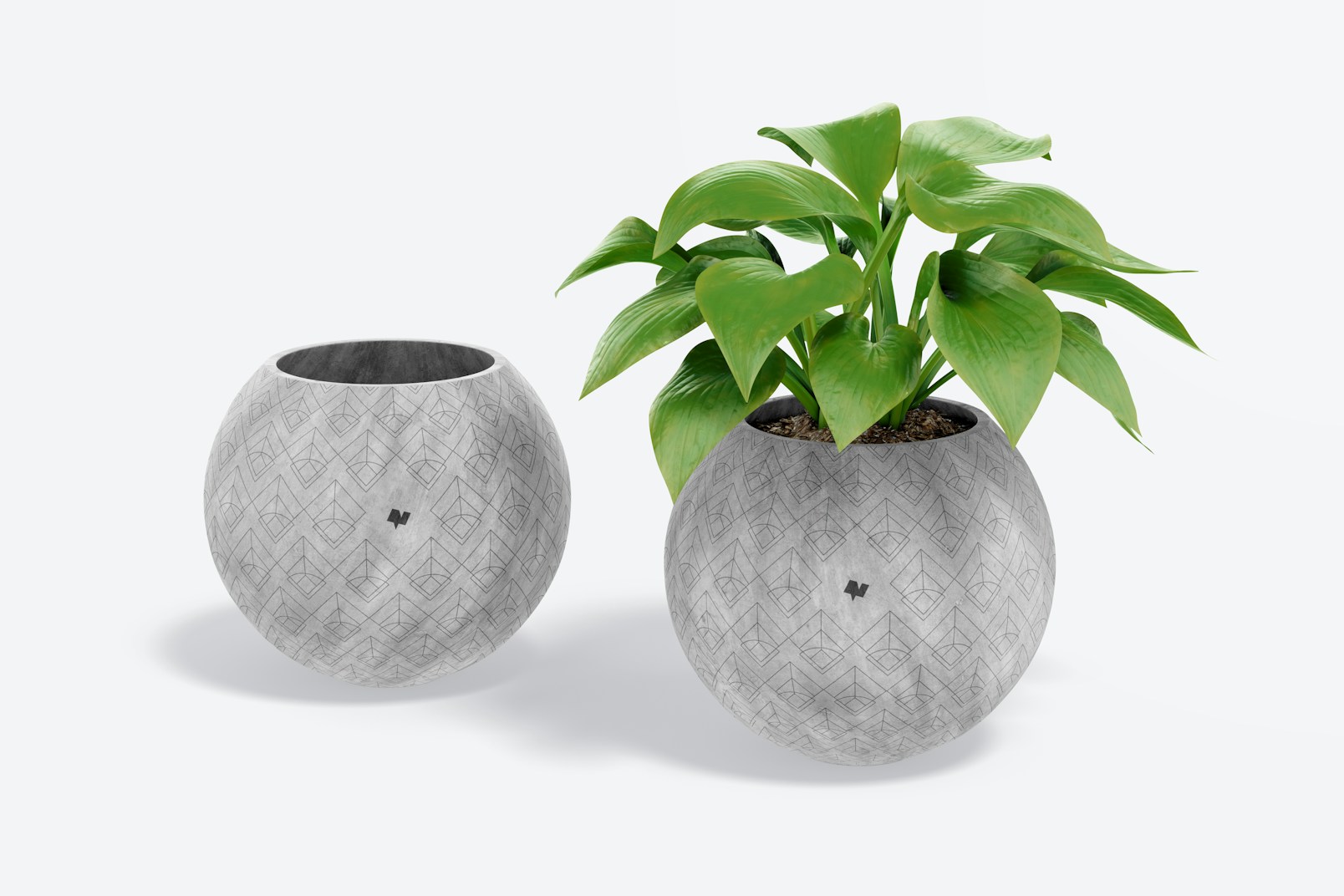 Large Round Cement Planters Mockup